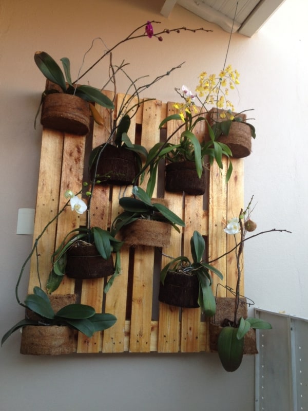 orquidário simples feito de pallet