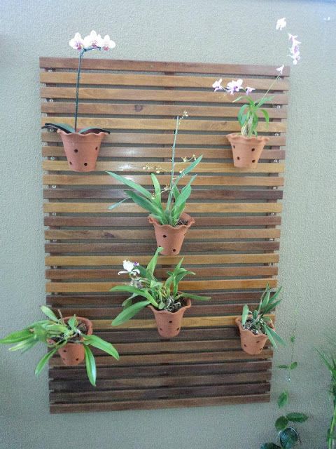 painel de madeira com vasos de orquídeas