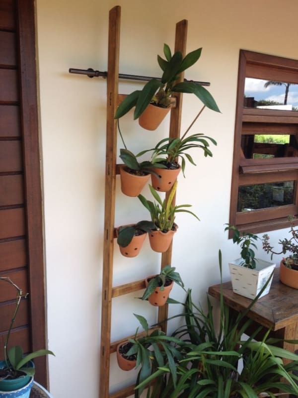 modelo de orquidário barato para fazer em casa