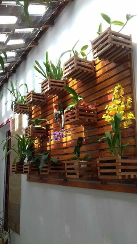 orquidário de madeira na parede