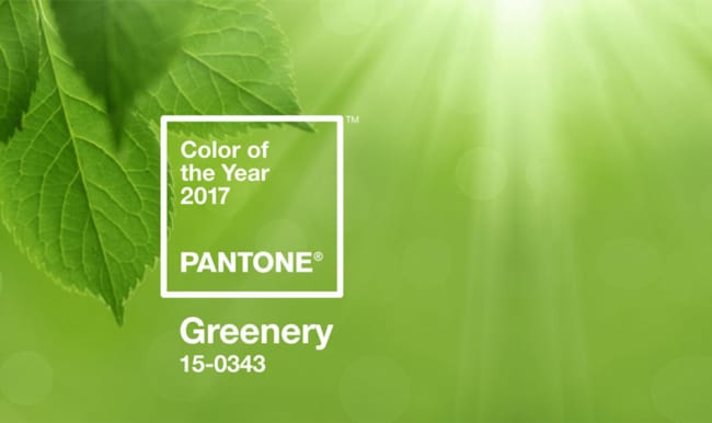 Paleta Greenery