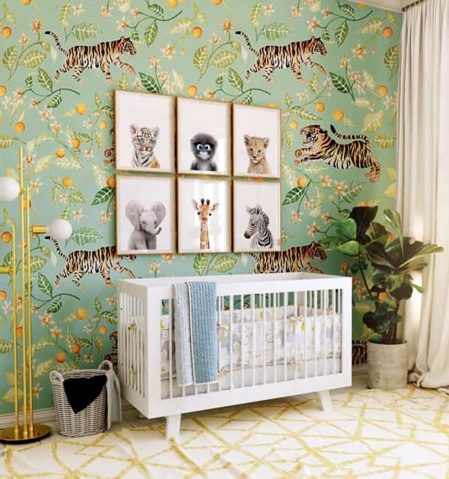 quarto de bebê safari papel de parede lindo