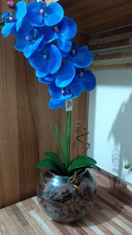 Orquídea Azul artificial