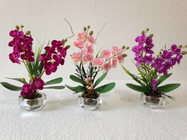 mini orquídeas em vaso de vidro