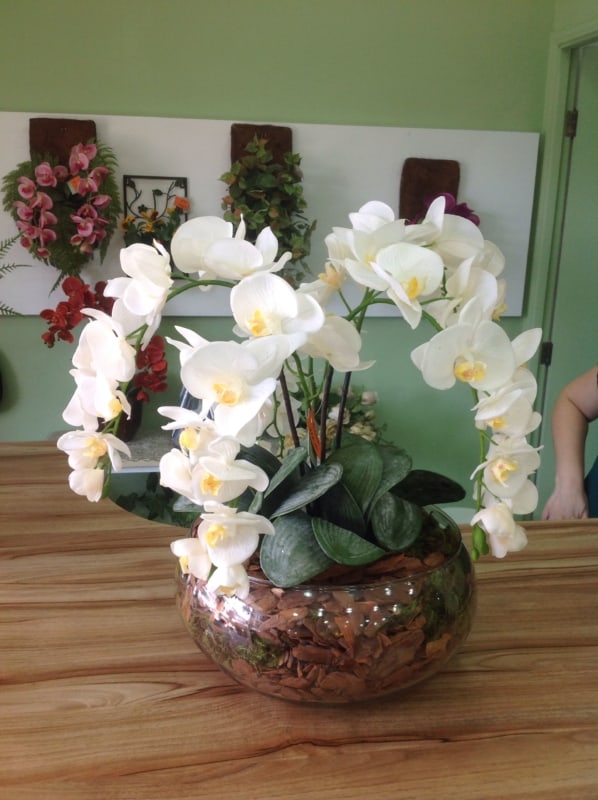 mini orquídeas em masa da cozinha