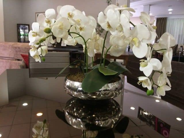 mini orquídeas em mesa de jantar