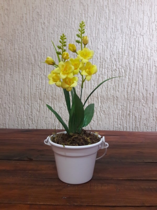 mini orquídeas em mesa