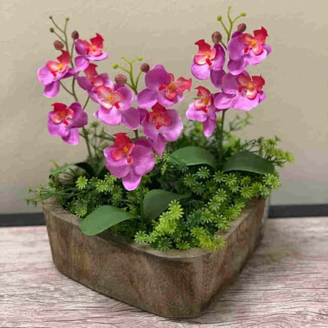mini orquídeas em vaso de madeira