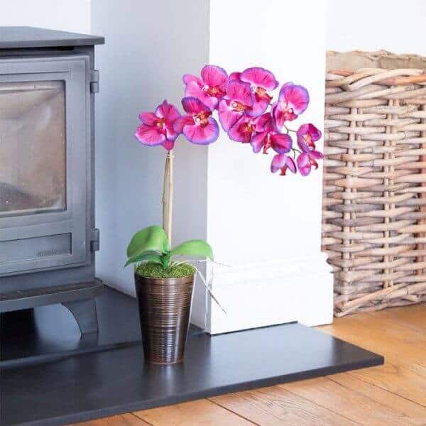 mini orquídeas em vasos no chão