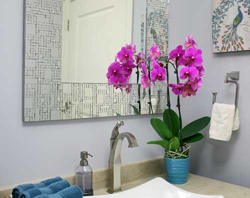 mini orquídeas no banheiro