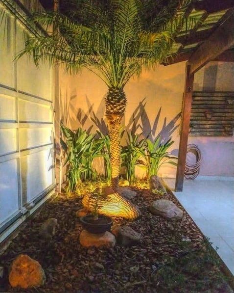 jardim externo pequeno com palmeira fenix e iluminacao noturna