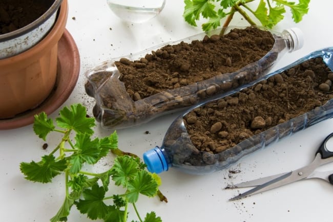 como fazer horta simples com garrafa pet