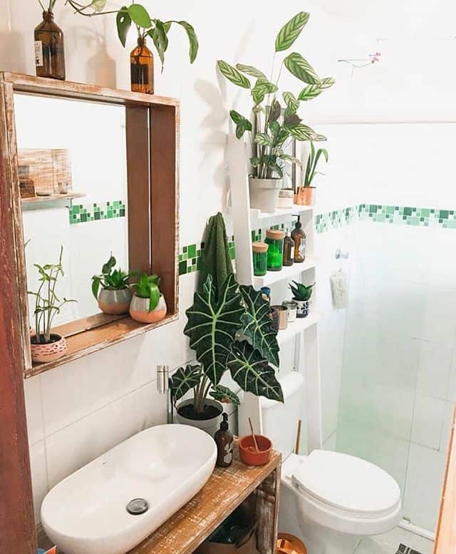 banheiro urban jungle simples e pequeno