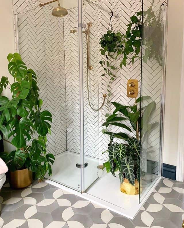 como usar plantas na decoracao do banheiro