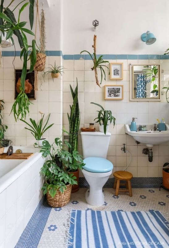 banheiro antigo decorado com plantas