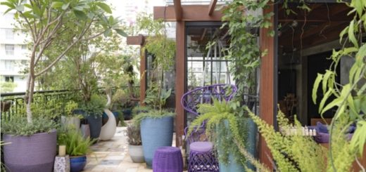 varanda decorada com plantas e jasmim manga
