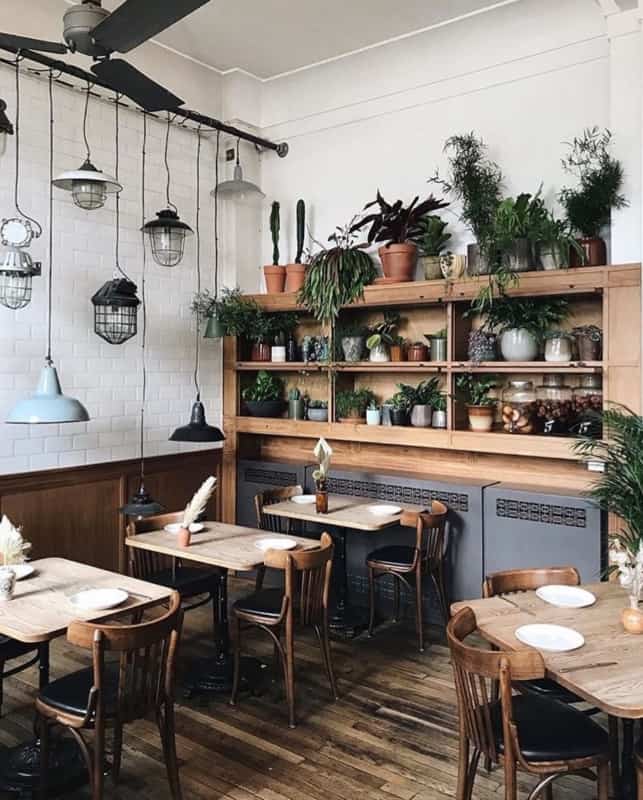 restaurante pequeno e rustico decorado com plantas