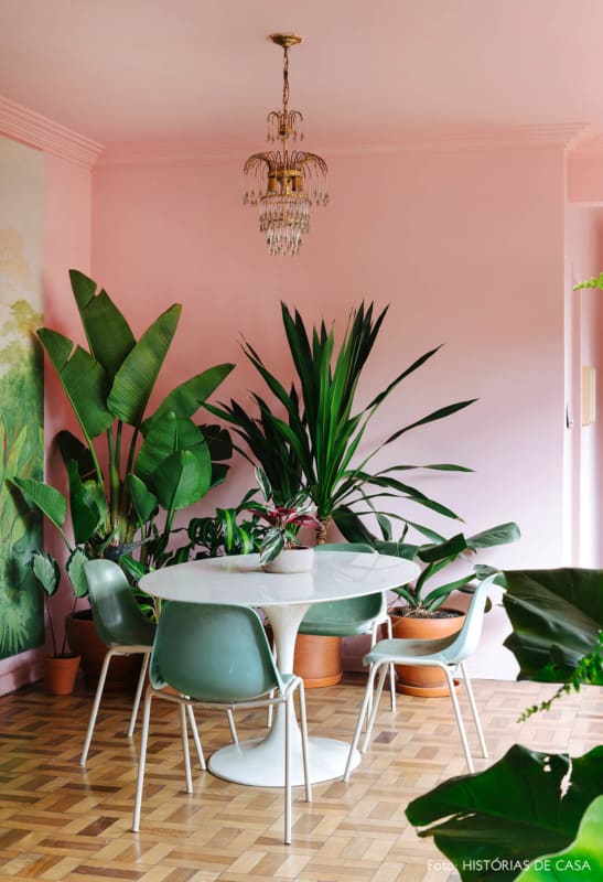 sala de jantar com parede rosa pastel e plantas
