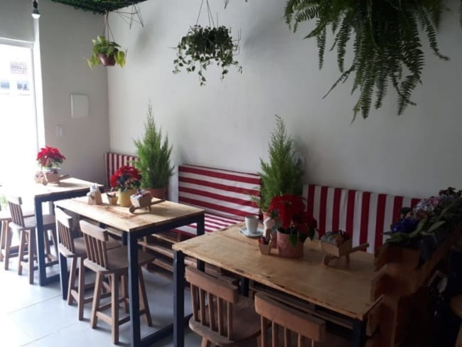 decoracao de cafeteria simples e com plantas