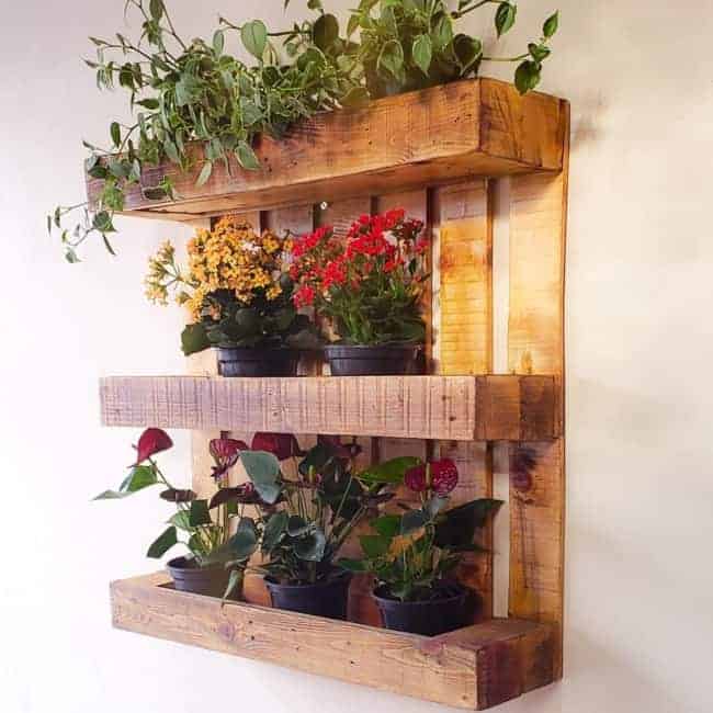 prateleira de palete com vasos de plantas e flores