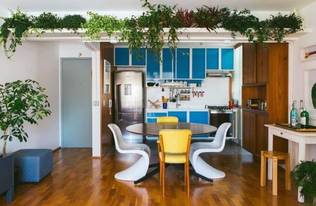 sala de jantar com prateleira alta de plantas
