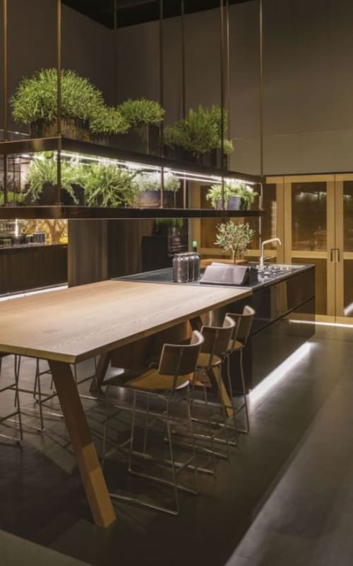 cozinha moderna com prateleira de plantas