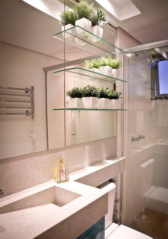 banheiro com prateleiras de vidro com plantas