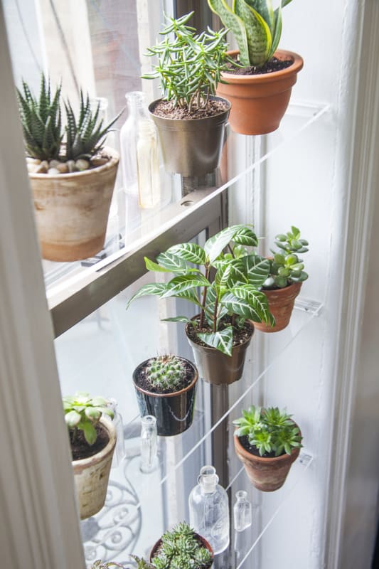 prateleira de vidro com vasos de plantas