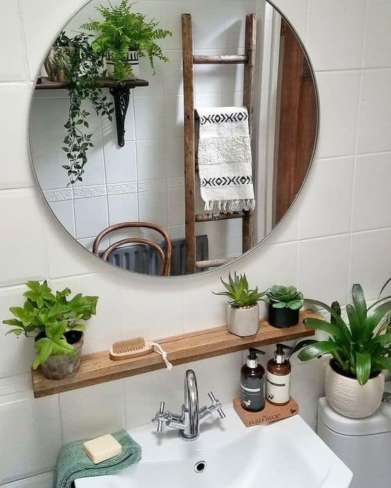 banheiro com prateleira pequena de plantas