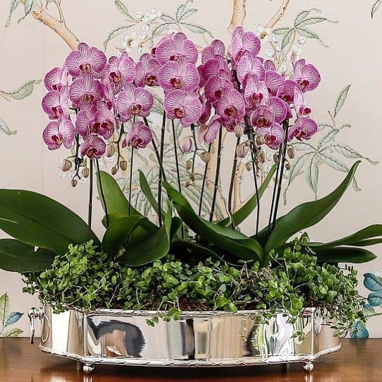 centro de mesa com flores orquideas