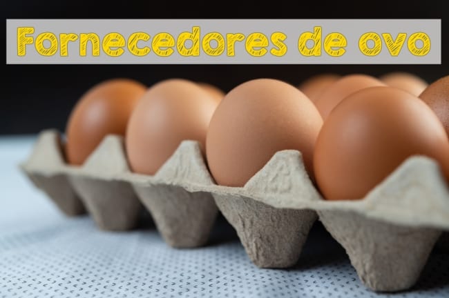 fornecedores de ovos