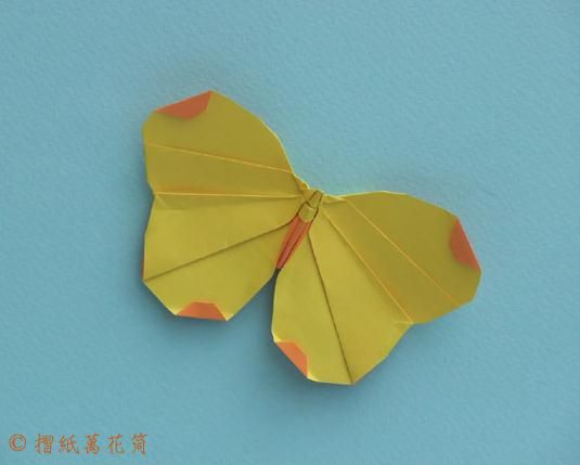 modelo de origami de borboleta