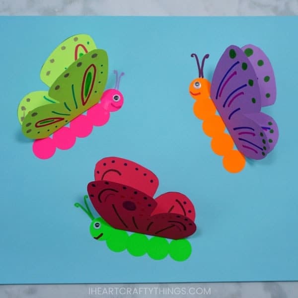 borboleta 3D simples