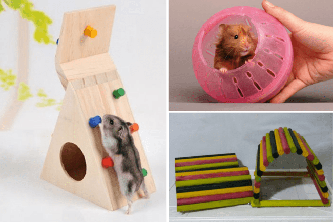 Brinquedos Ratos