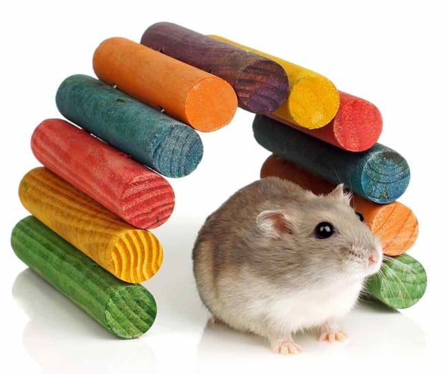 brinquedo madeira hamster