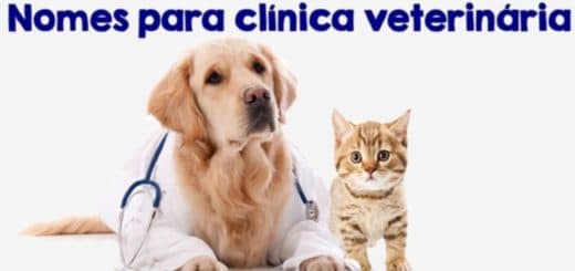 nomes para clinica veterinaria