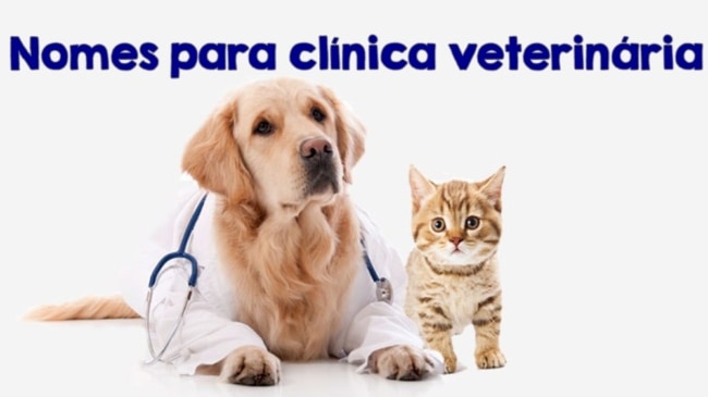 nomes para clinica veterinaria