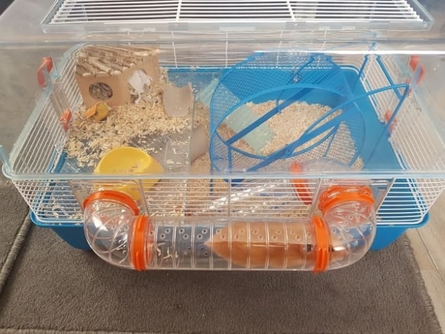11 modelo de gaiola de plastico com tubo para hamster
