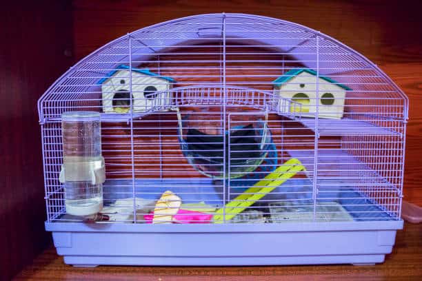 gaiola de hamster com casinha