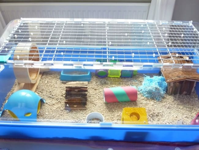 gaiola de plastico para hamster