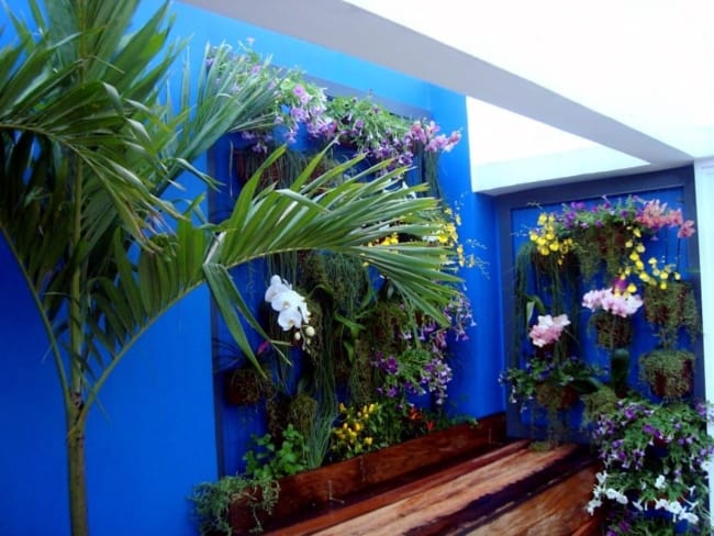58 area externa com parede azul anil e jardim vertical