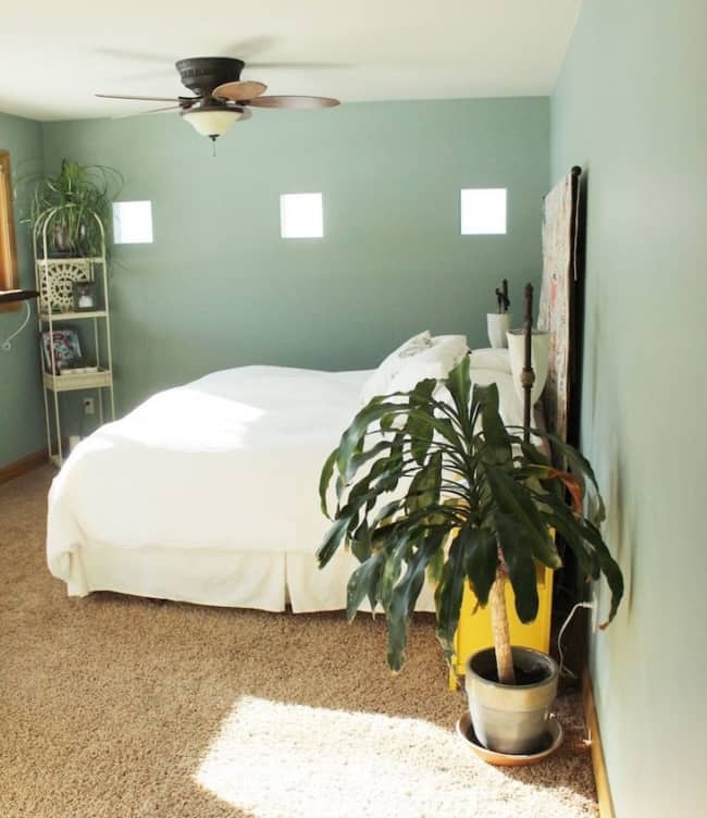 32 quarto paredes em tom de verde claro com plantas e iluminacao natural