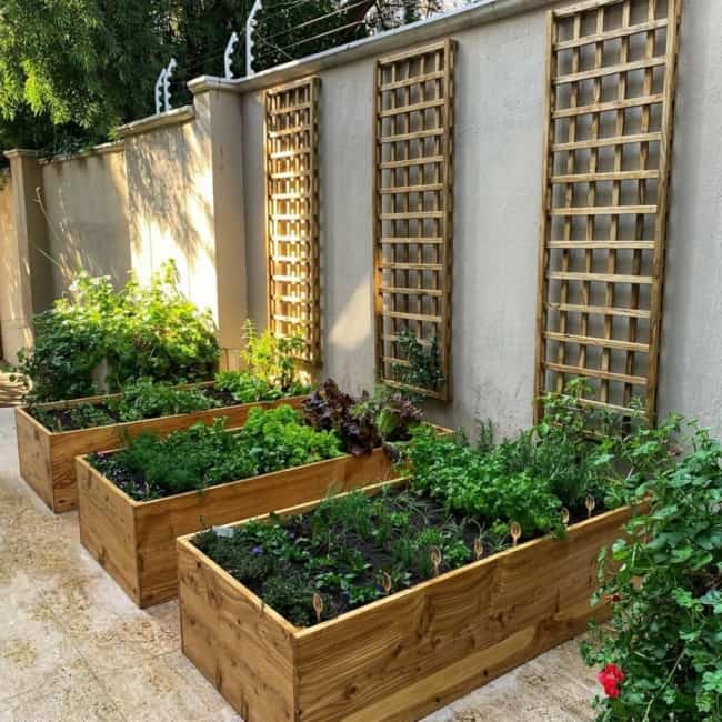 Courtyard Vegetable Garden courtesy @potager urban garden design via instagram