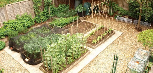 horta em casa aprenda o que plantar e como cultivar