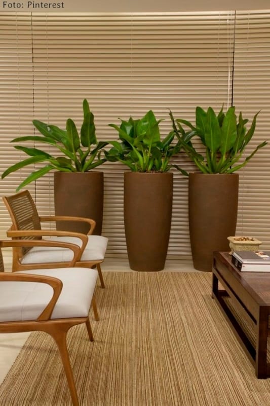 1 sala decorada com vasos grandes de plantas