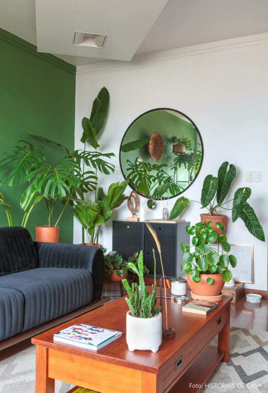 54 sala decorada com vasos de plantas
