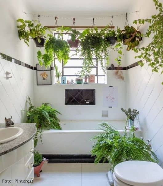60 banheiro simples decorado com plantas