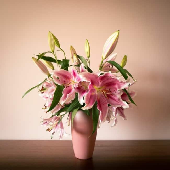7 arranjo de flores naturais em vaso rosa Pinterest