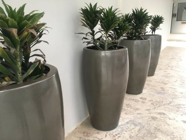 vasos grandes para plantas