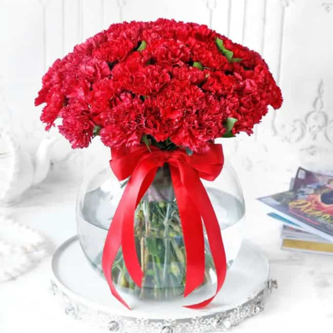 14 vaso com flores de cravo vermelho Buy Any Flowers